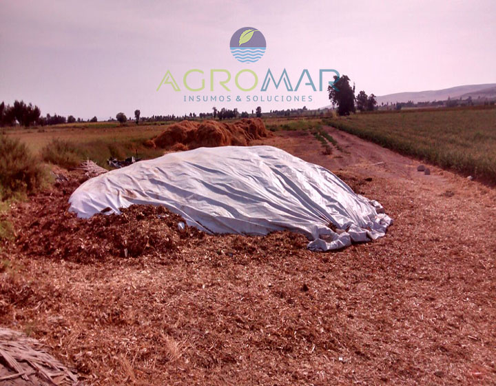 https://www.agromar.com.pe/wp-content/uploads/2018/06/ensilaje720.jpg