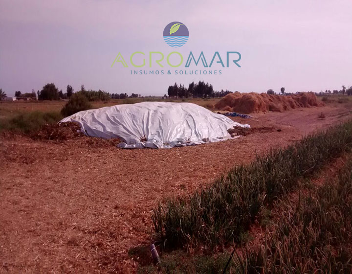 https://www.agromar.com.pe/wp-content/uploads/2018/06/ensilaje720_2.jpg